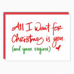funny christmas card for her naughty card for wife girlfriend all i want vagina nutshell cards